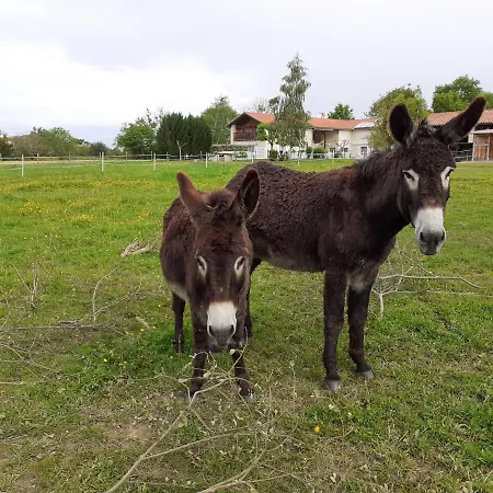 Сasa de vacaciones En Comminges *