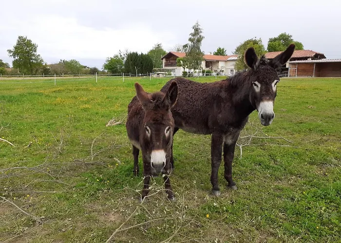 Сasa de vacaciones En Comminges *