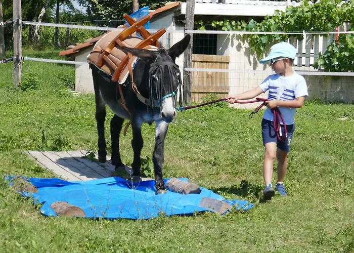 Сasa de vacaciones En Comminges Franquevielle