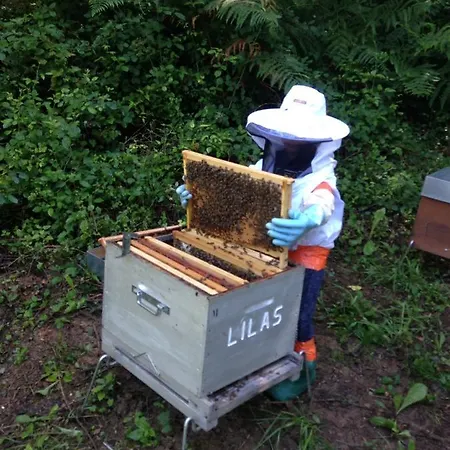 Hébergement de vacances En Comminges *