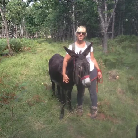 En Comminges Hébergement de vacances *