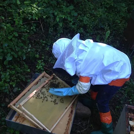 Hébergement de vacances En Comminges *