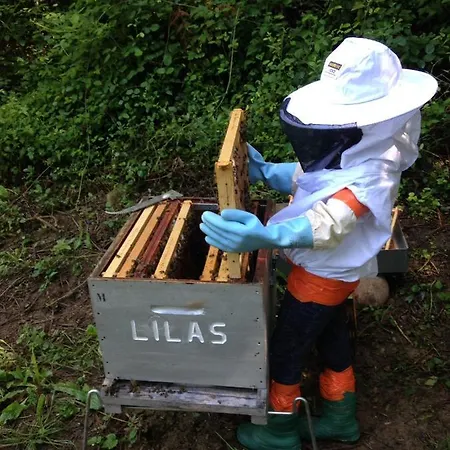 En Comminges Franquevielle