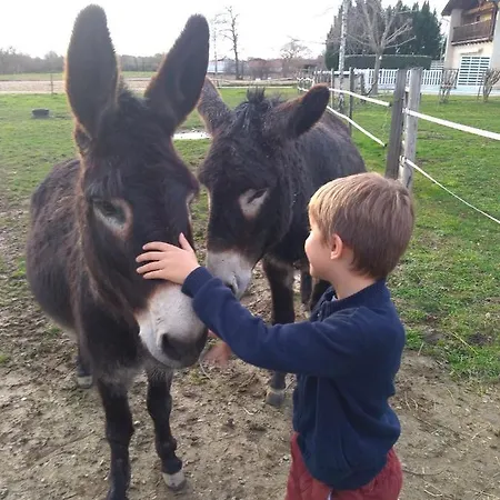 Hébergement de vacances En Comminges Franquevielle