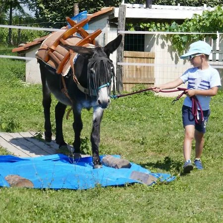 Holiday home En Comminges Franquevielle