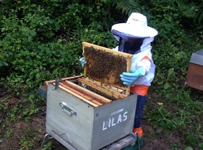 Nyaraló En Comminges *