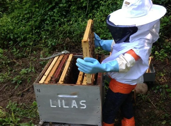 En Comminges Franquevielle