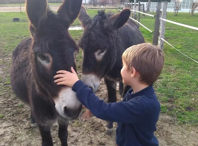Nyaraló En Comminges Franquevielle