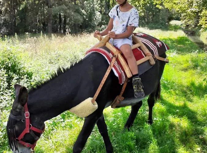 En Comminges Nyaraló